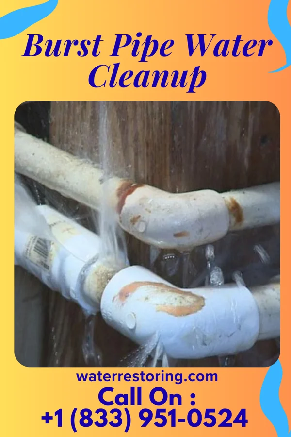 Burst Pipe Water Cleanup in Beechwood Trails, OH