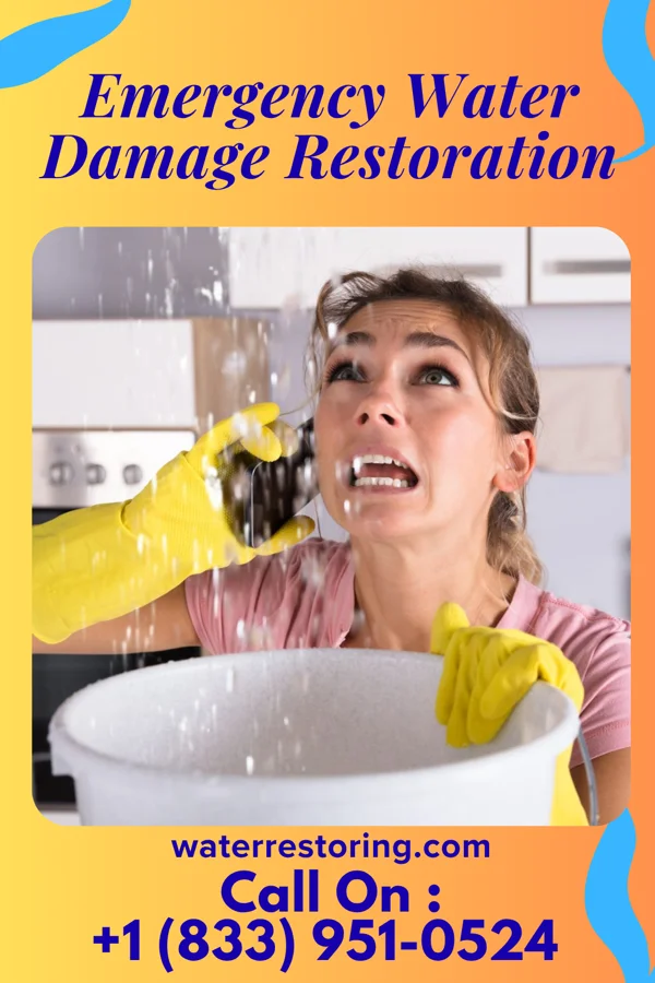 Emergency Water Damage Restoration in Beechwood Trails, OH