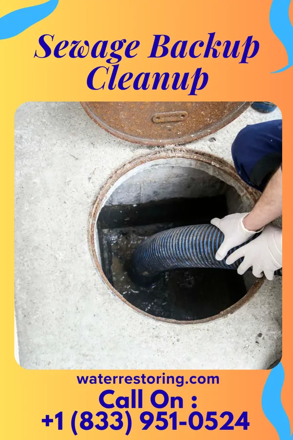 Sewage Backup Cleanup in Beechwood Trails, OH