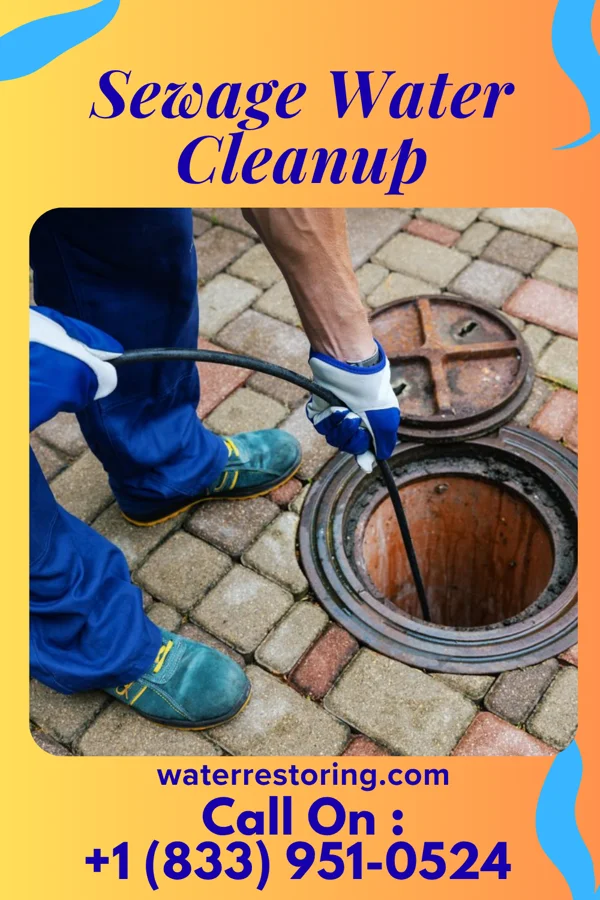 Sewage Water Cleanup in Beechwood Trails, OH